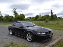 1999 GT