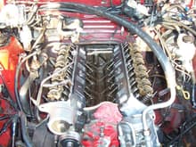 Mustang head gasket repair 122