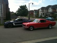 My Old and New Mustangs