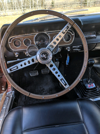 Dealer upgrade Pony Instrument panel and steering wheel