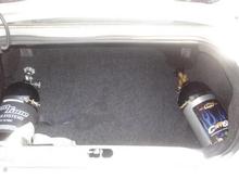 trunk shot