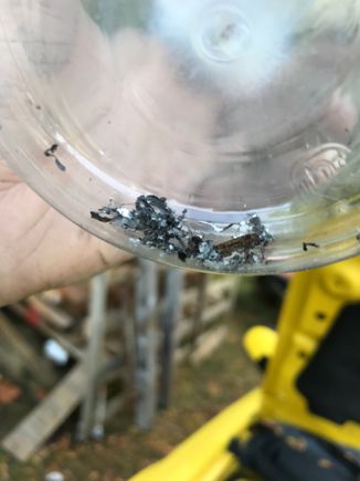 What I pulled out of the starter