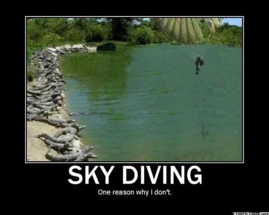 motivatorSkydiving