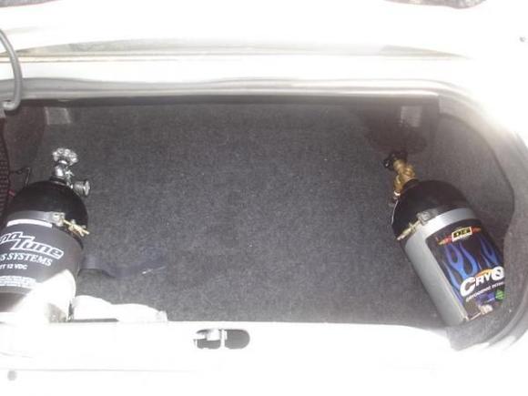 trunk shot
