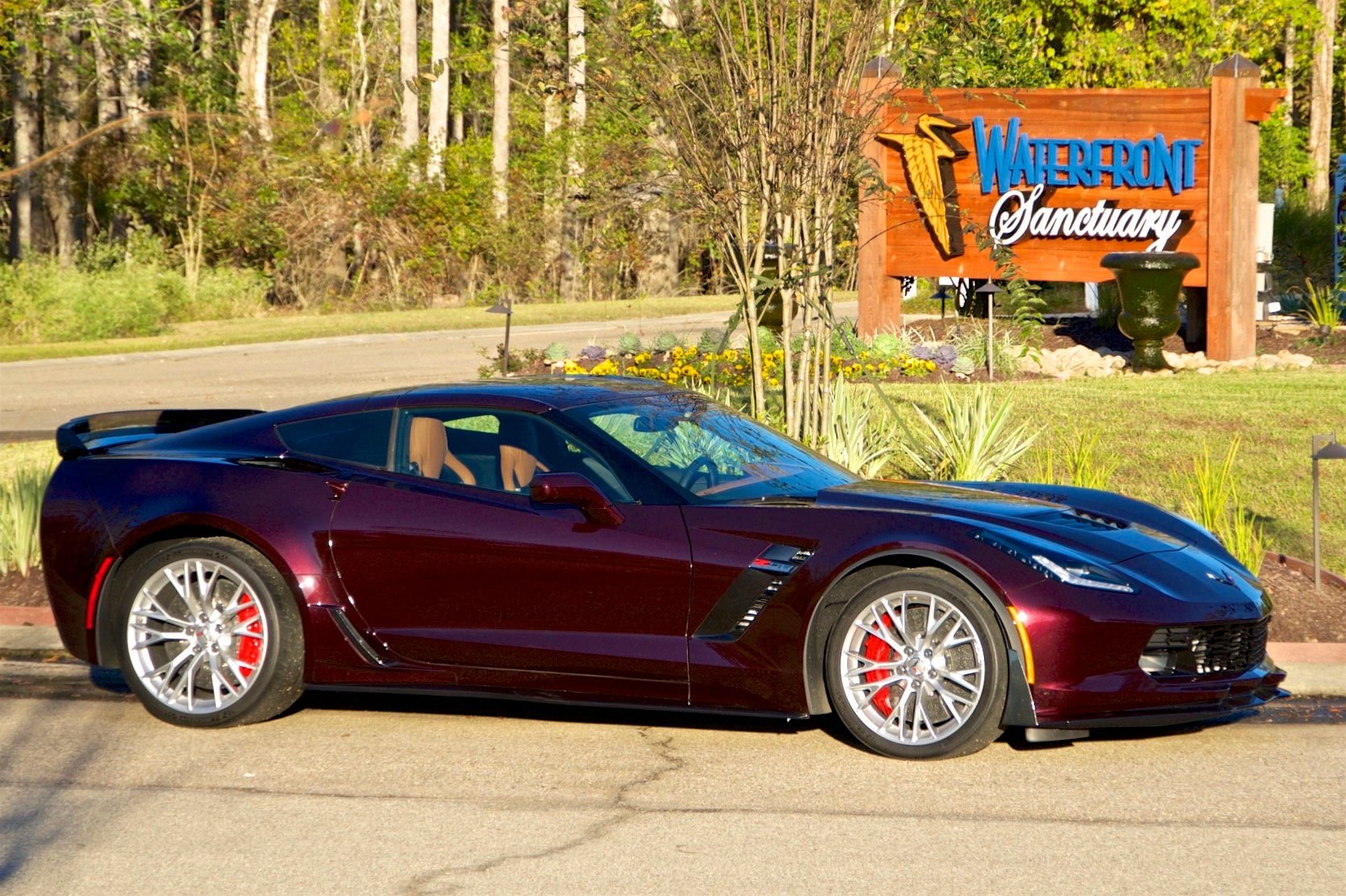 New '17 Black Rose pics in the sun - CorvetteForum - Chevrolet Corvette