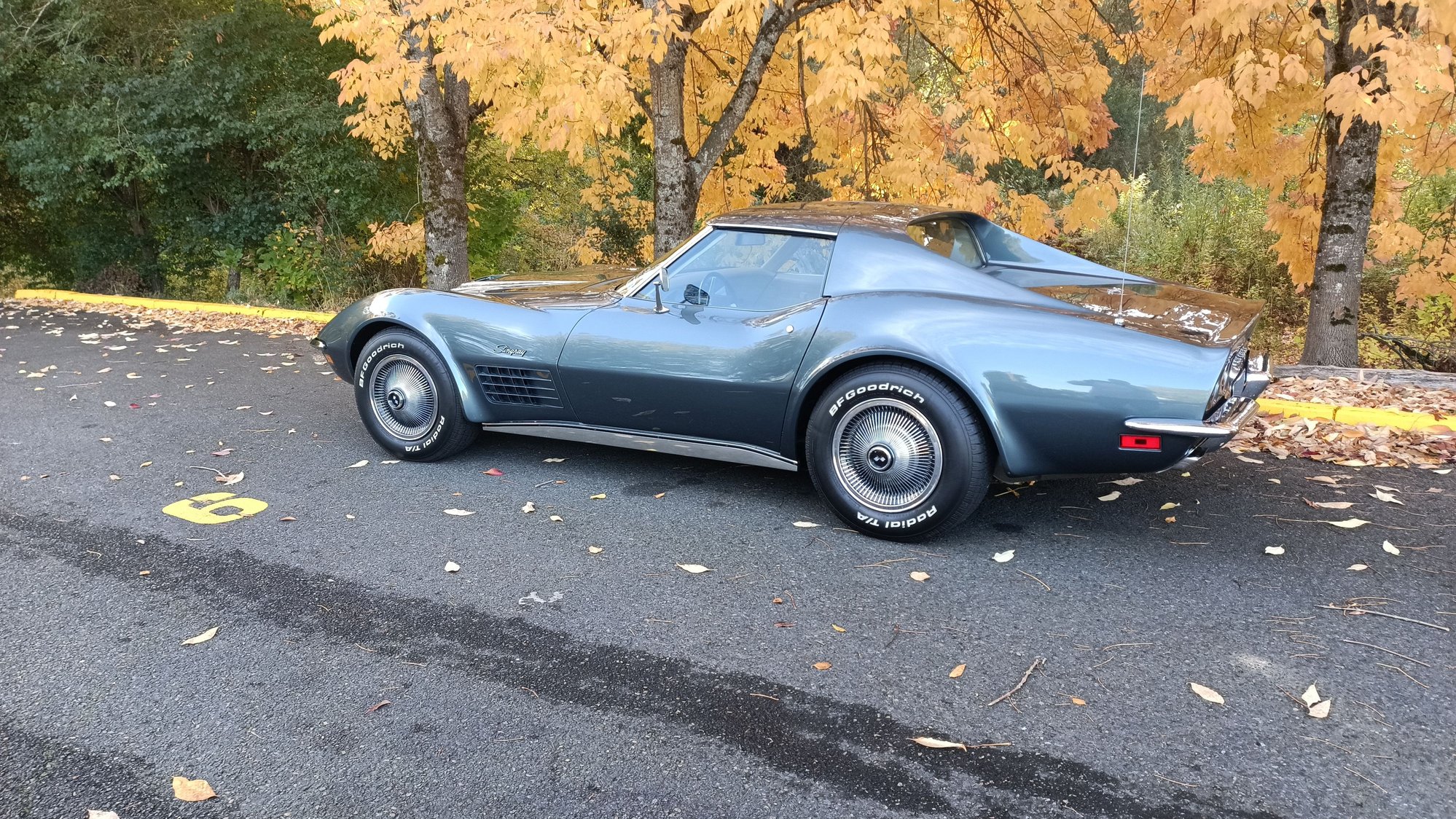 My LT-1 near the Columbia River in Fairfield Oregon