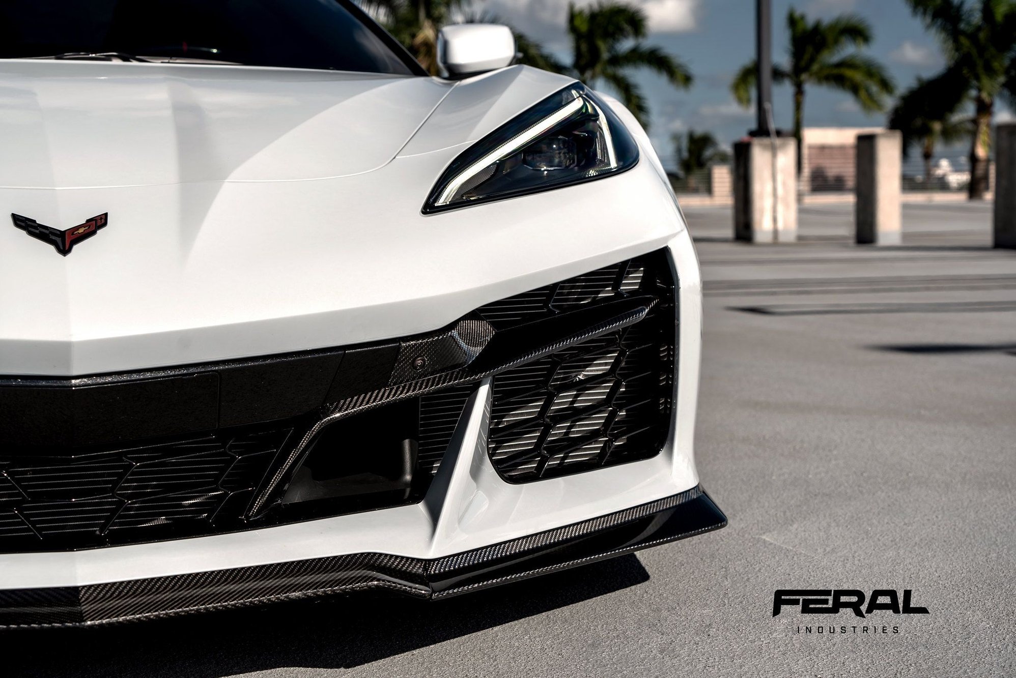 Carbon Fiber Front Spoiler + Front Grille Inserts