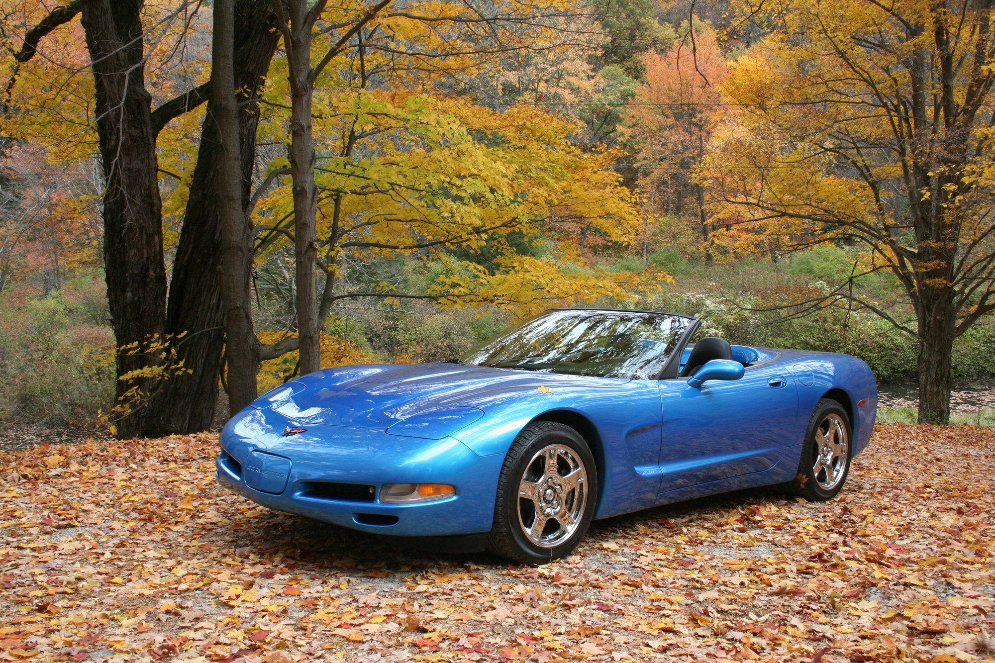 1999 Nassau Blue Convertible for Sale CorvetteForum Chevrolet