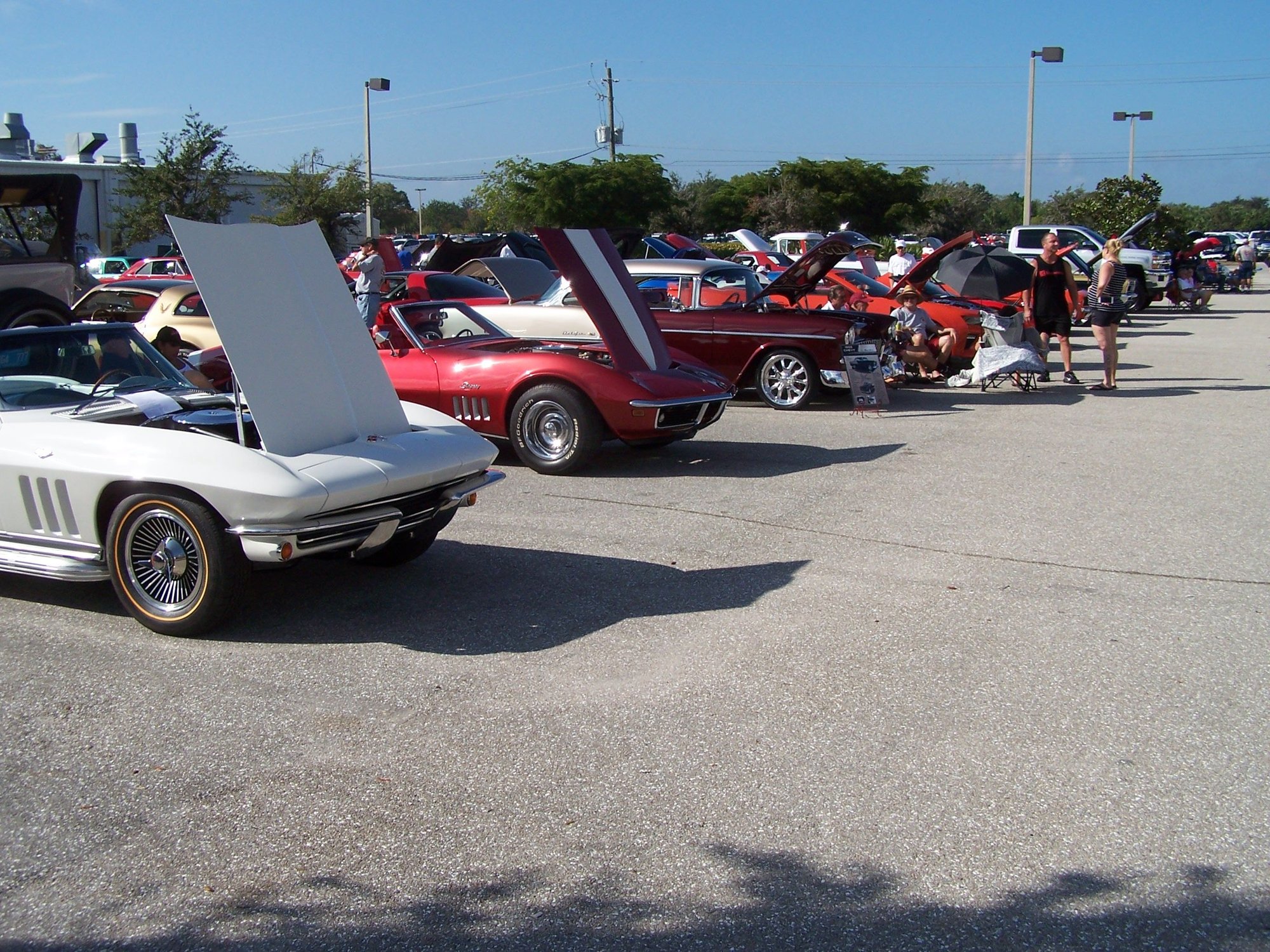local Punta Gorda car show 12/2 CorvetteForum Chevrolet Corvette