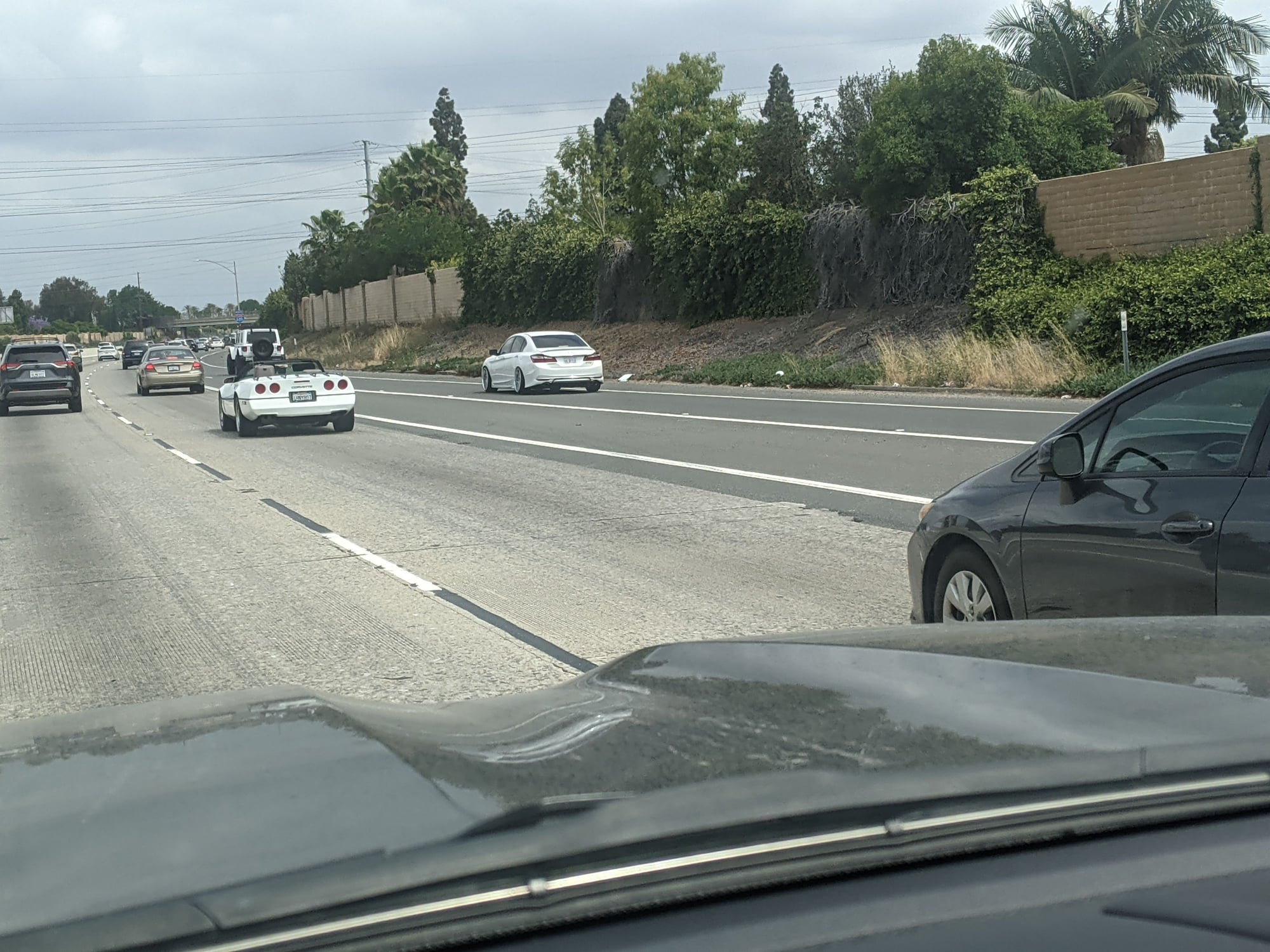 Nice looking lady on the 605 - CorvetteForum - Chevrolet Corvette Forum ...