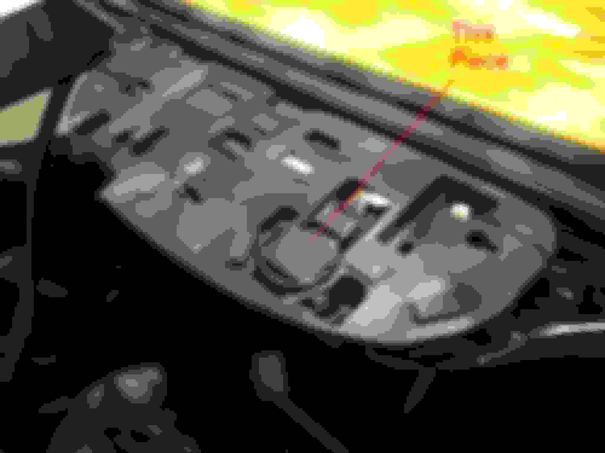 Satellite Radio Antenna location??? CorvetteForum Chevrolet