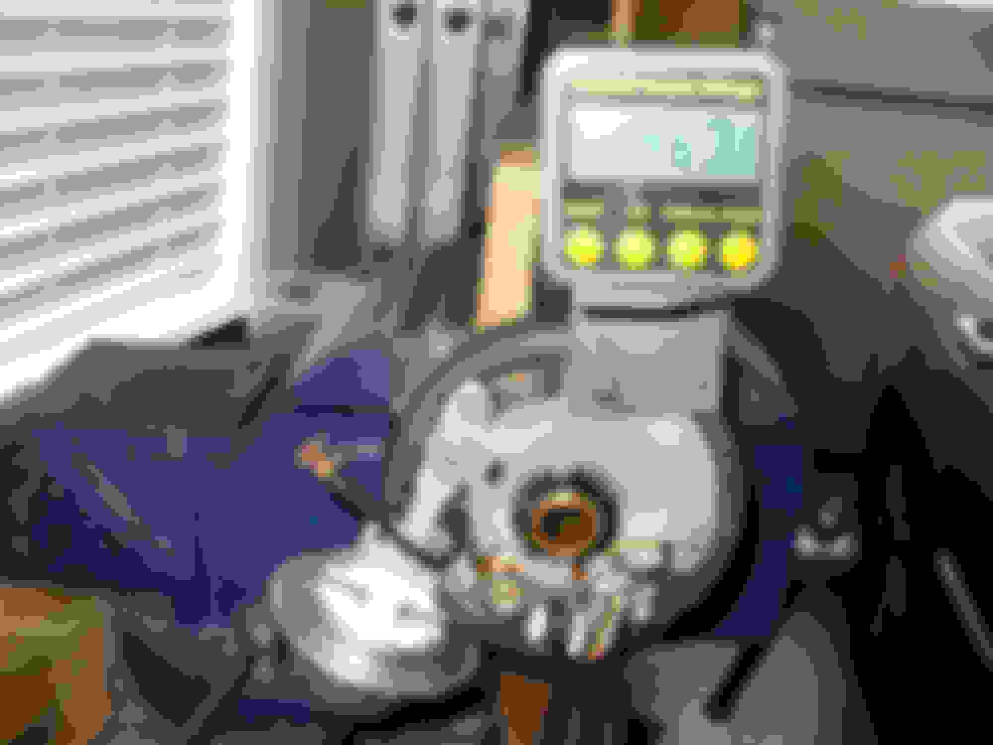 Lars, meet Bubba CorvetteForum Chevrolet Corvette Forum Discussion