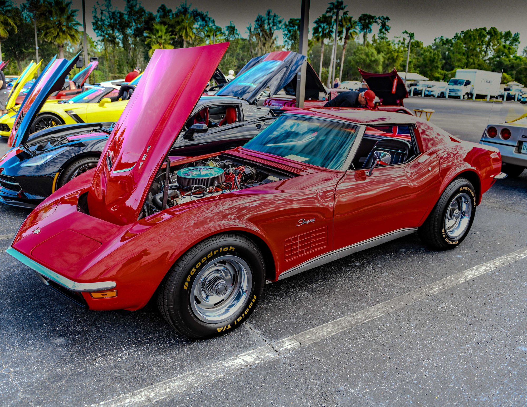 [PHOTOS] Corvette/Chevy Car Show, Plant City, Fl