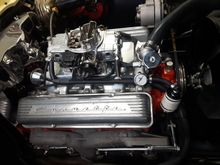 My fuel line set up.