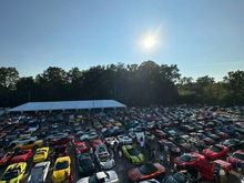 Last year's Corvettes on Woodward over 420 Corvettes