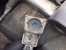 Sure looks like it belongs somewhere!
