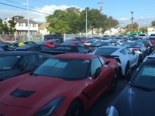 Another shot of Kerbeck's incredible selection