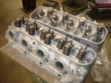 #3946074 They look mint. Currently being freshened up and flowed.