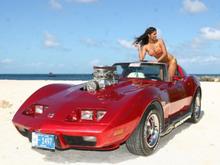 vette on beach 2