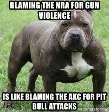 blaming_the_nra_for_gun_violence_is_like_blaming_the_akc_for_pit_bull_attacks_f0f53fa95d2ddaf6e876b331b8cad655b6b0ddd3.jpg