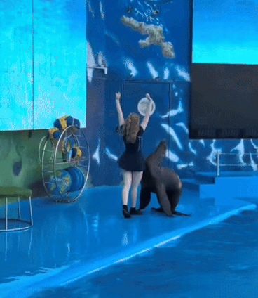 ezgif_2ef2df1344d372_de2909a846717805dc32f2efbb8b44120eac01ac.gif