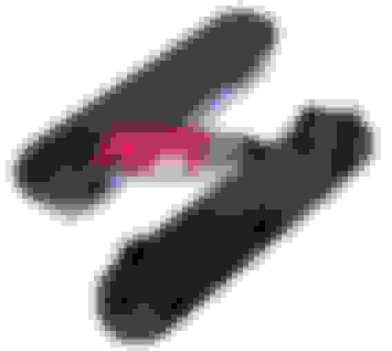 C5 Corvette Door Panel Access Cover Plug CorvetteForum Chevrolet