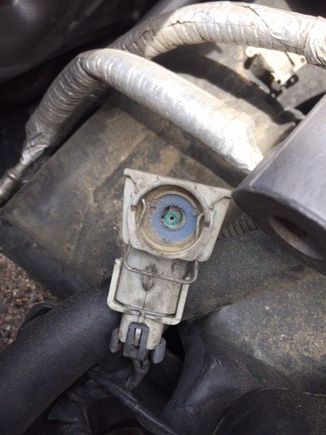 Sure looks like it belongs somewhere!