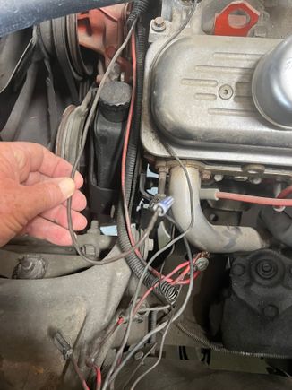 Brown wire from alternator, not connected to anything 