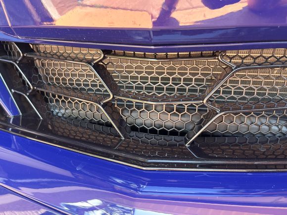 Added EOS radiator guards