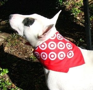 Sybil in her Target Scarf