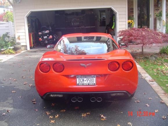 Vette Fall 10 025