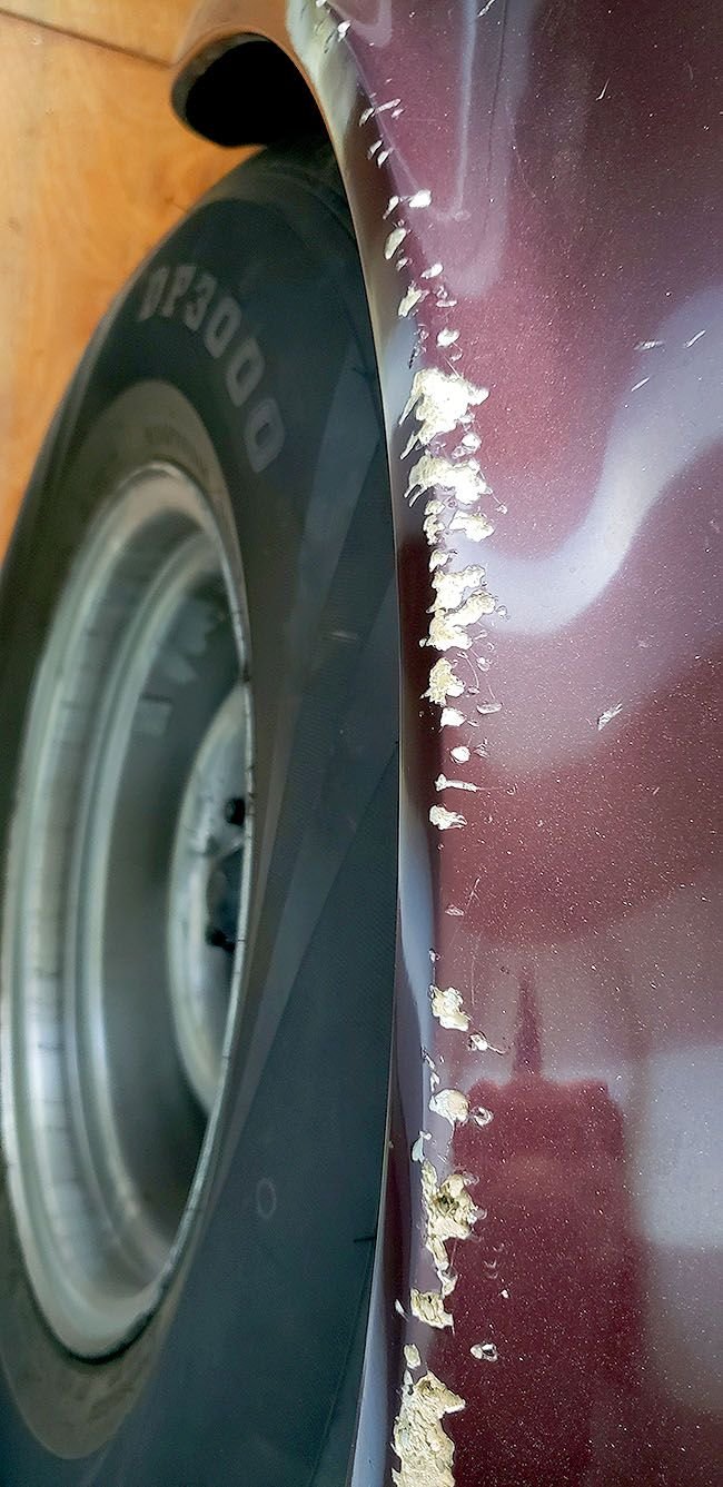 Dog eats Corvette CorvetteForum Chevrolet Corvette Forum Discussion