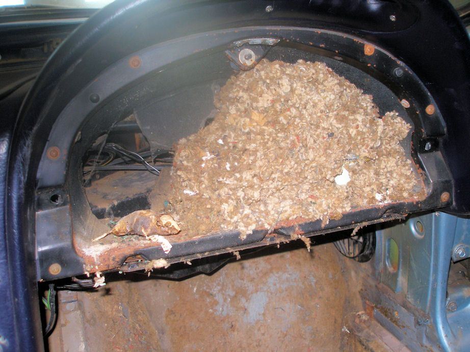 C2 Glove Box Time CapsuleWhat was left behind in yours? Page 2