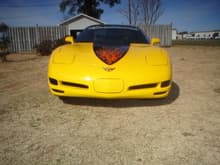 Corvette paint (5)
