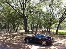 Georgetown California Cemetery