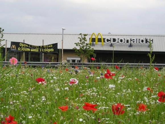 I sponsor Roundabouts on the A59 Lancashire near Clitheroe