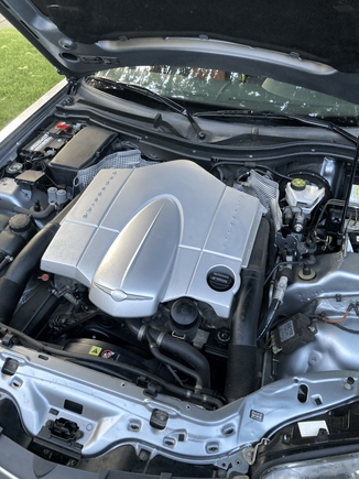 Clean engine compartment