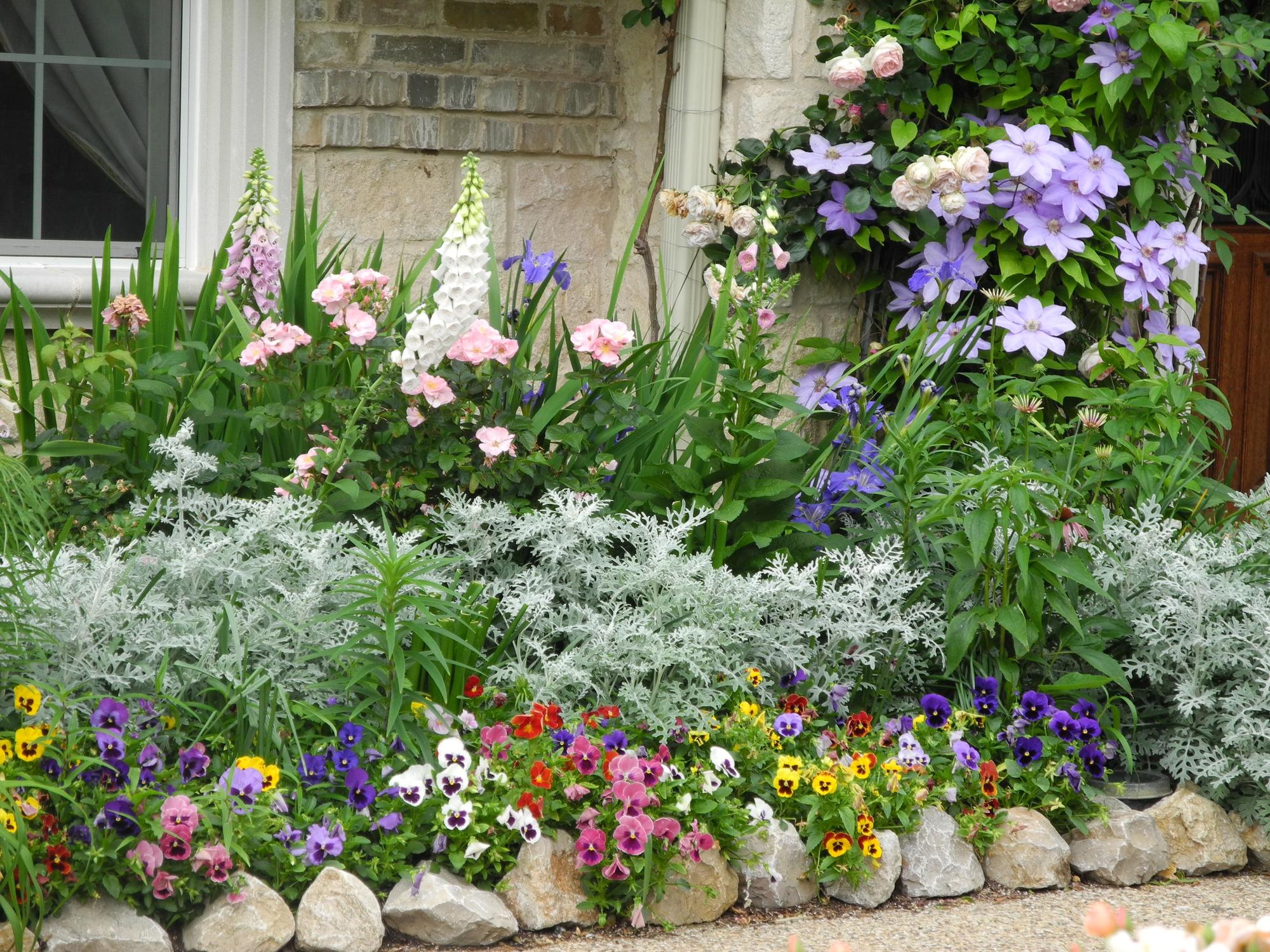 2012 my Dallas Garden photo by drthor on Garden Showcase