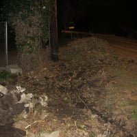 April 10, 2012: remove ivy & place fence