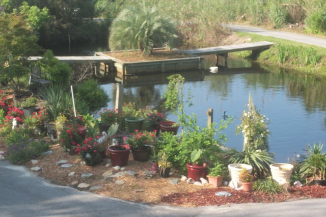 Pond and island in front of my... photo by hoitider on Garden Showcase