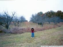 19995Savanna s orchard