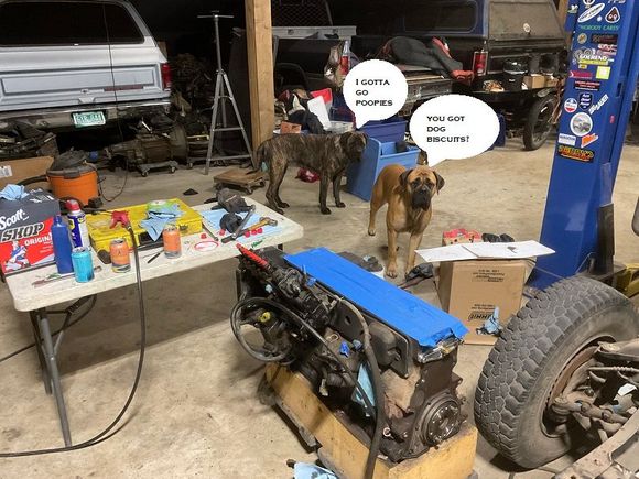 The motor inspectors showed up about mid way