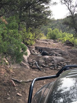 OHV run in a 1 Ton !