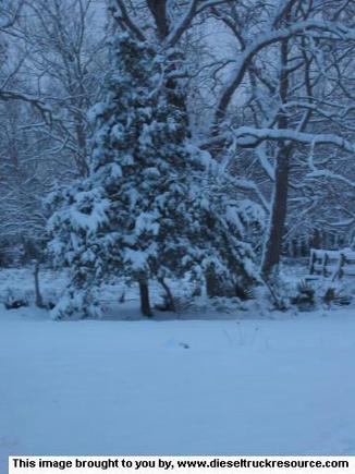 17303Image115
