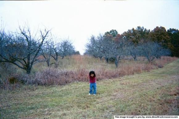 19995Savanna s orchard