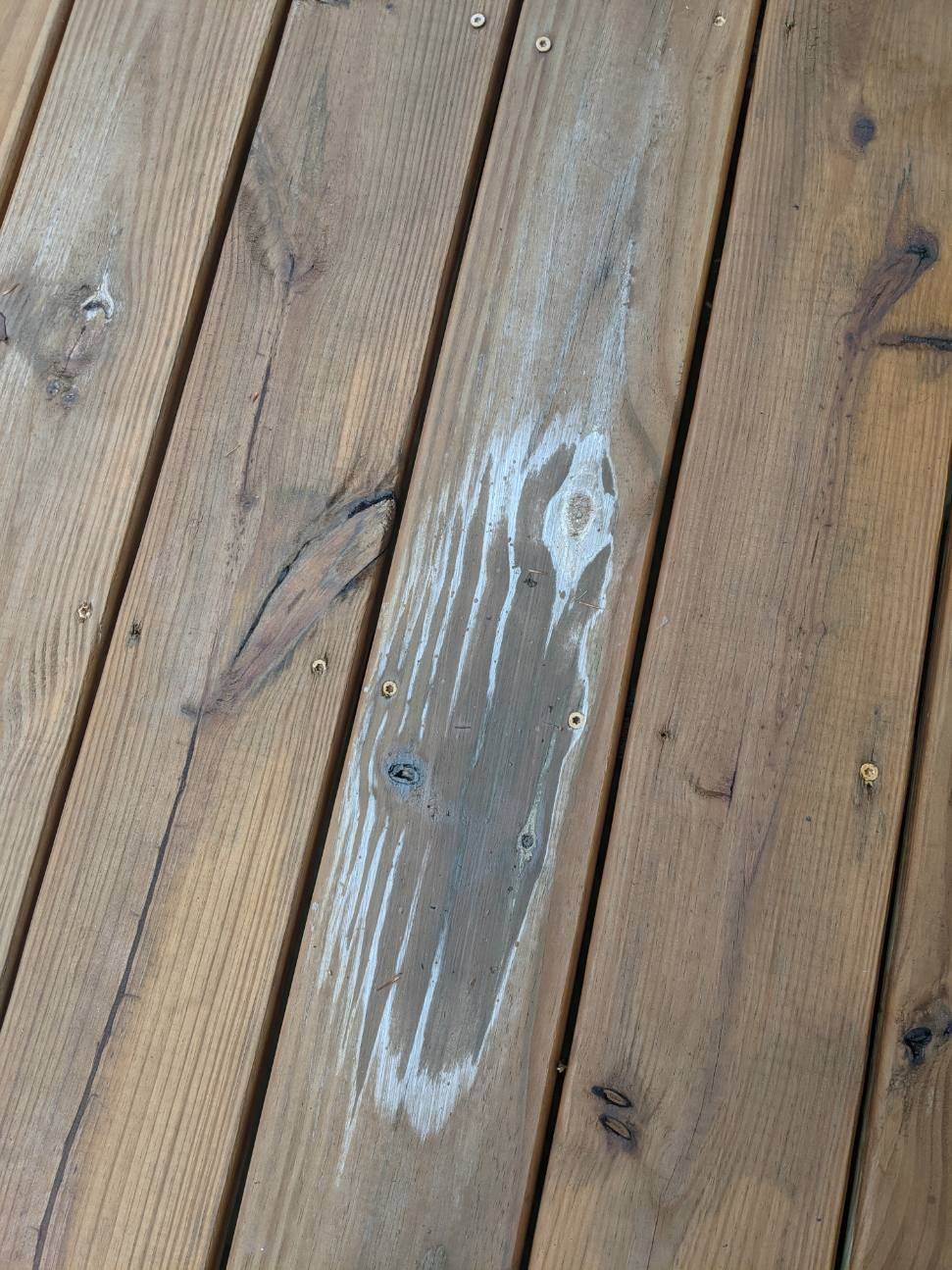 White splotches on newly stained deck after a rain (pics