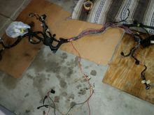 Wiring still on the engine side.