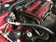 The original, 20-something thousand mile belt. It looks pretty good. You can also see the paint markings to help spot TDC easier.