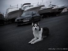 Evo [2 FAST] &amp; Panda 272 days old