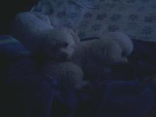 6am Valentines Day 02/14/2010 *Love Someone*